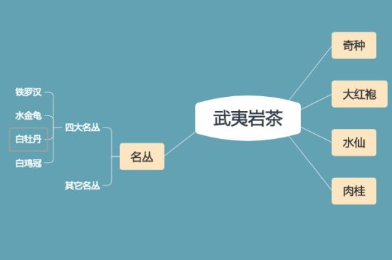 武夷巖茶品種大全，巖茶有幾種？