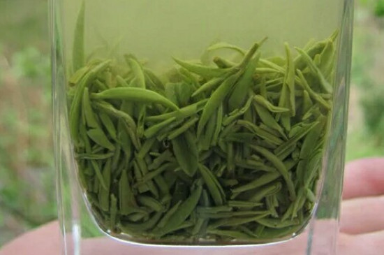 什么綠茶茶葉唇齒留香，哪個品種綠茶香氣好？