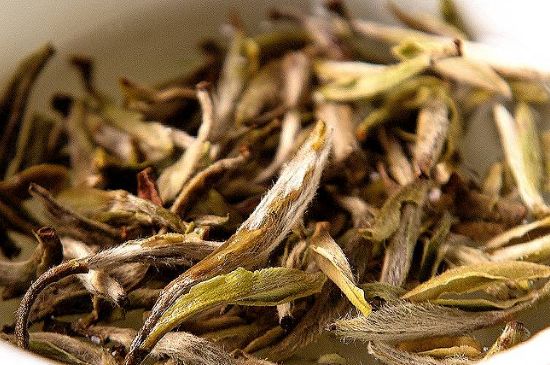 荒野銀針市場價多少，真正的荒野白毫銀針多少錢？