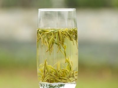 霍山黃芽算是好茶嗎，霍山黃芽屬于什么茶？