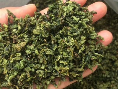 鐵觀音毛茶茶梗可以泡水喝嗎，鐵觀音帶梗是不是好茶？