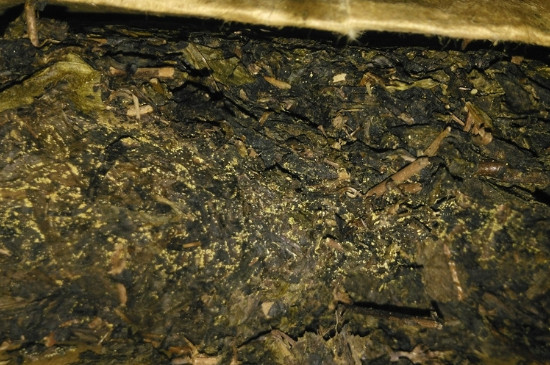 黑茶茯茶保存五大忌，茯茶收藏的注意事項