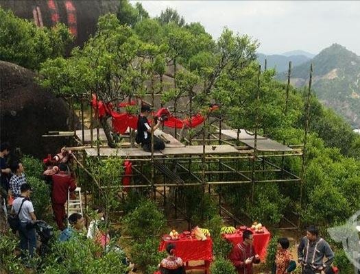 宋種一號(hào)價(jià)值為什么高，鳳凰單樅宋種1號(hào)價(jià)格與產(chǎn)量多少？