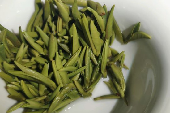 竹葉青茶怎么泡，竹葉青如何沖泡