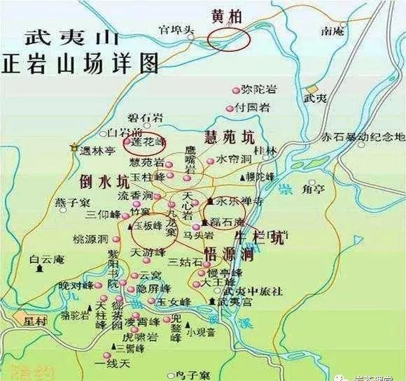 肉桂茶和大紅袍哪個貴，武夷山肉桂與大紅袍的價格比較