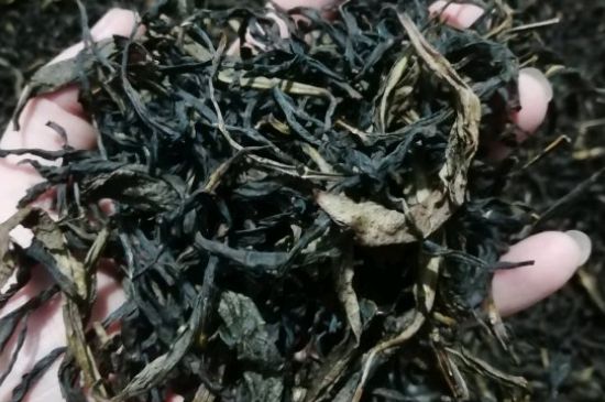 蜜蘭香好還是鴨屎香好，鳳凰單叢茶蜜蘭香和鴨屎香特點有哪些？