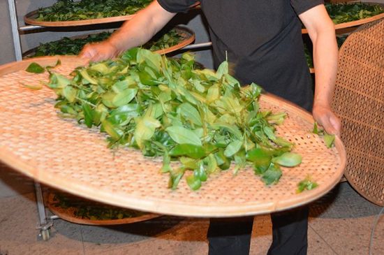 鐵觀音加香精騙局，鐵觀音的香味是添加香精了嗎？