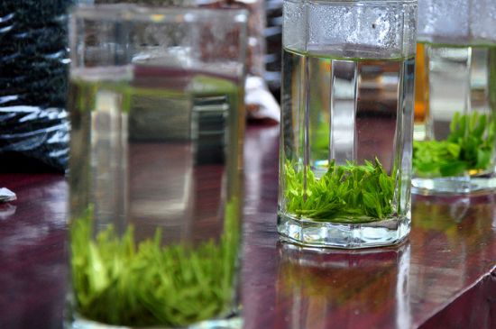 綠茶放了三年還能喝嗎，綠茶放久了喝了會怎樣