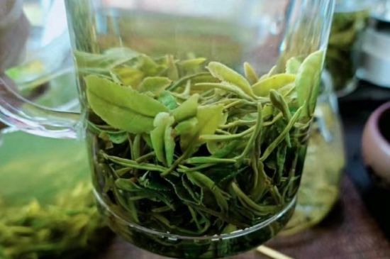 什么綠茶味道濃香，那個(gè)綠茶比較濃香？