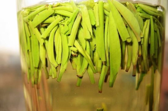 雀舌為何喝著是苦的，雀舌味道怎么那么苦澀？