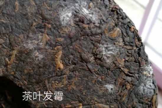 西湖龍井茶毫和發(fā)霉區(qū)別圖片，長霉的龍井茶葉會是什么樣？