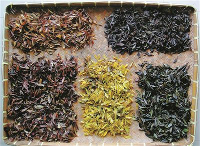 彩色茶葉